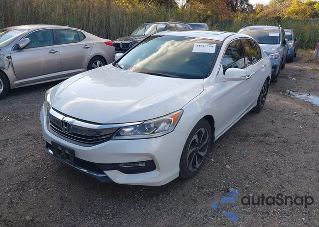 1HGCR3F83GA006284: 43546749