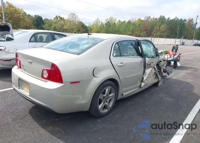 1G1ZC5EB2AF119178: 43548694