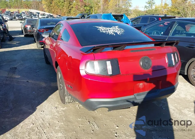 1ZVBP8AM1C5246208: 43549663