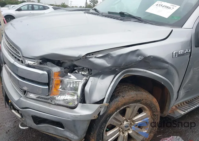 1FTEW1E41LFA06056: 43549867