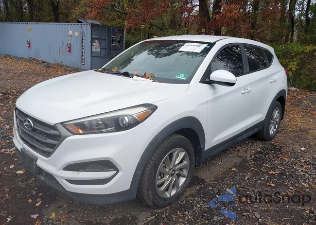 KM8J23A44GU247795: 43549883