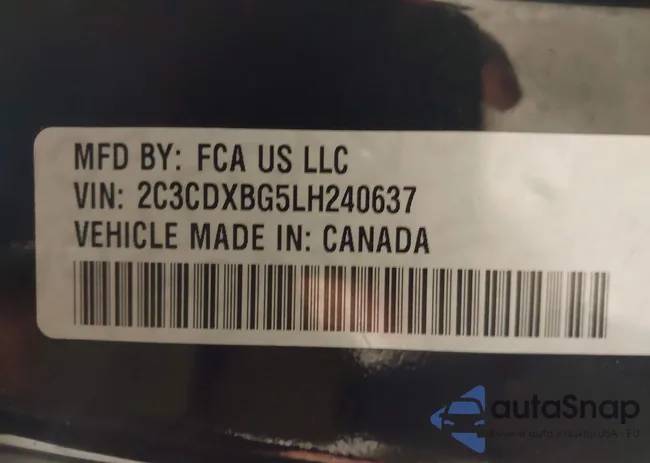 2C3CDXBG5LH240637: 43550546