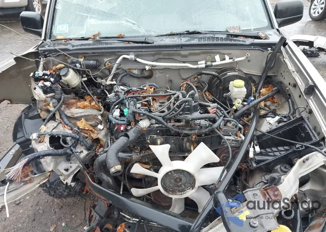 1N6MD29Y24C441110: 43550908