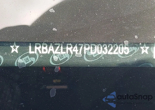 LRBAZLR47PD032205: 43549973