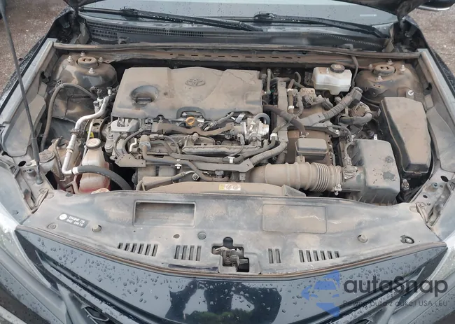 4T1S31AK2MU022937: 43551393