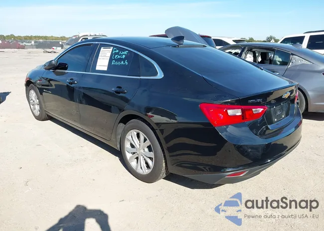 1G1ZD5ST8PF216081: 43551014