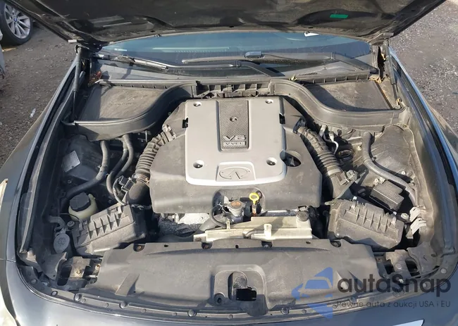 JN1CV6AR4AM452450: 43552456