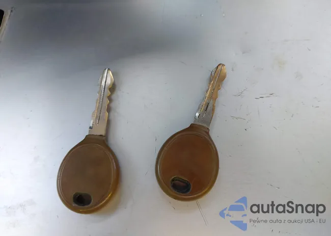 1J4FA24187L133887: 43552718