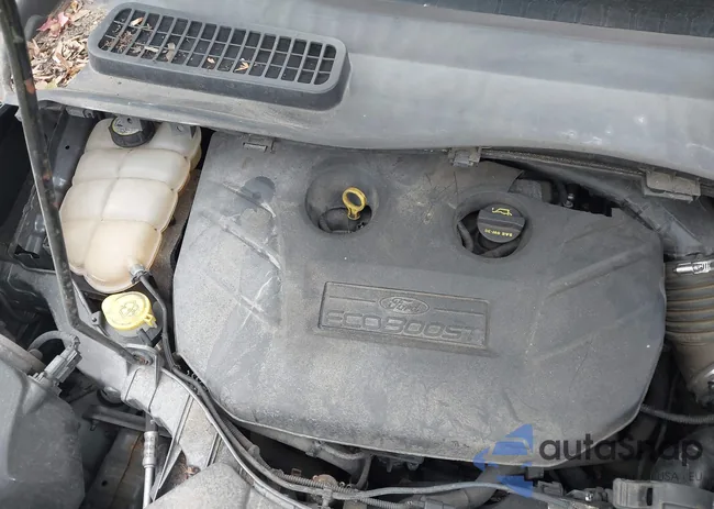 1FMCU9H99DUB11973: 43552995