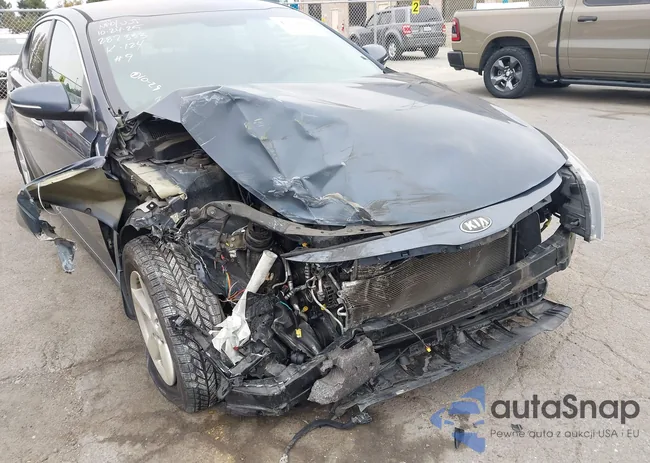 KNAGM4A70F5541838: 43553005