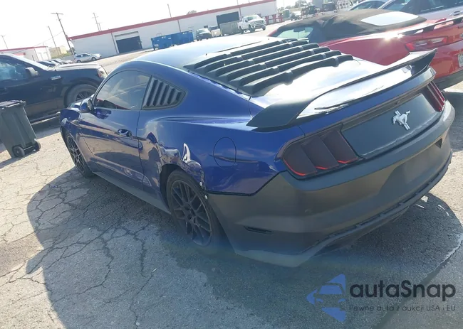 1FA6P8AM5G5283701: 43553023