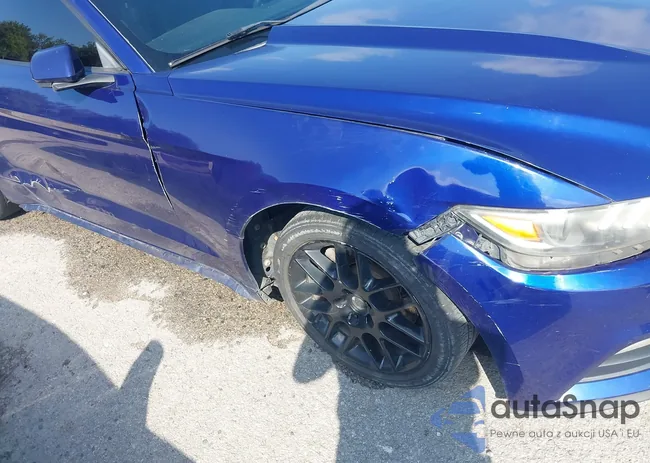 1FA6P8AM5G5283701: 43553023