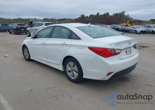 5NPEB4AC5EH827163: 43554945