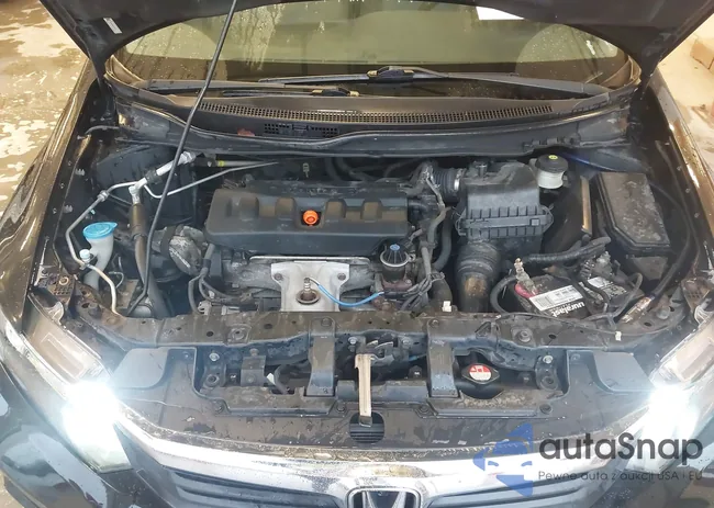 19XFB2F85CE032144: 43555452