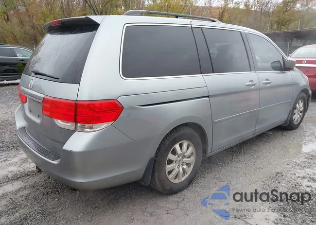 5FNRL38428B041783: 43555744