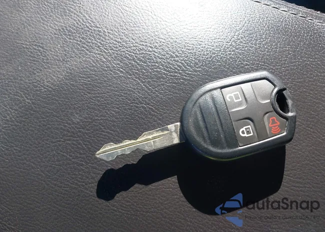 1FM5K8D89DGC76409: 43555166