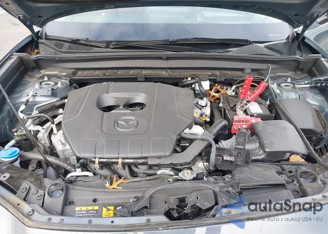 3MVDMBCM1RM637388: 43556442