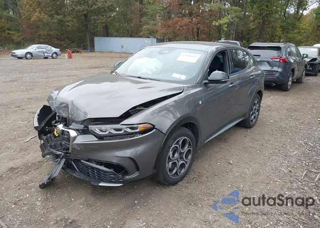 ZASPATCW9R3082078: 43556669