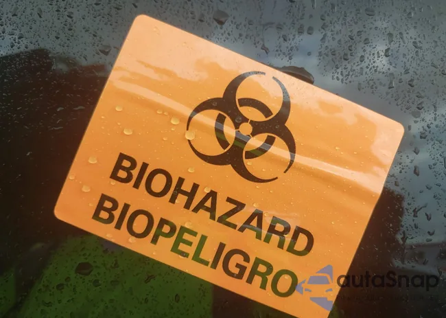 1C4RDJDG9TC175519: 43556743