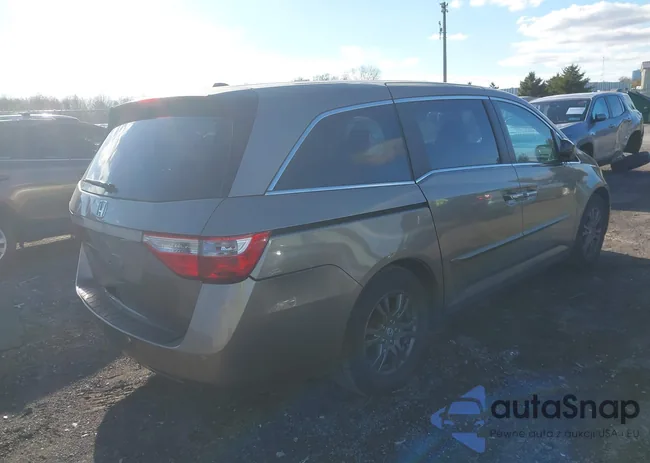 5FNRL5H62DB036865: 43556034