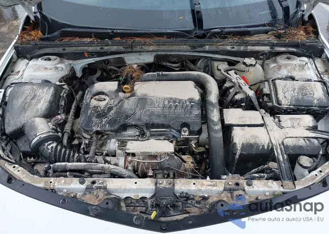 1G1ZD5STXLF029533: 43557956