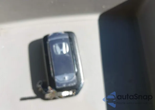 5FNRL5H64FB048146: 43557053