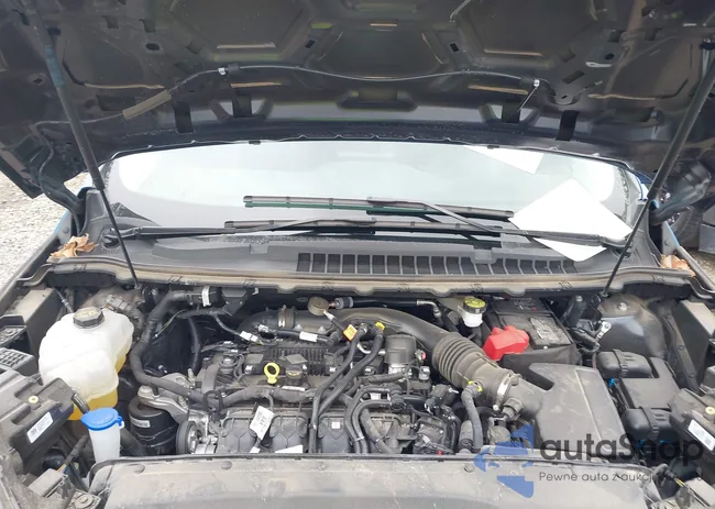 2FMPK4G97RBA84748: 43558915