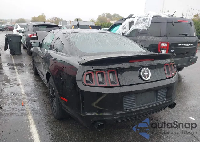 1ZVBP8AM7E5323859: 43558919