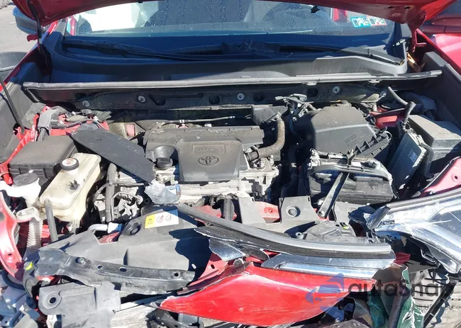 JTMBFREV0HJ163088: 43558053