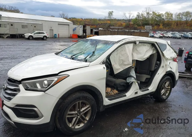 5NMZTDLB5JH078942: 43559043