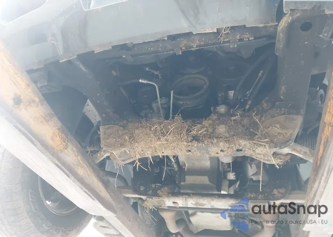 3GNEC12088G162893: 43561545