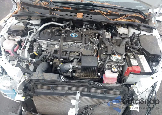 JTDBCMFE6PJ006402: 43561767