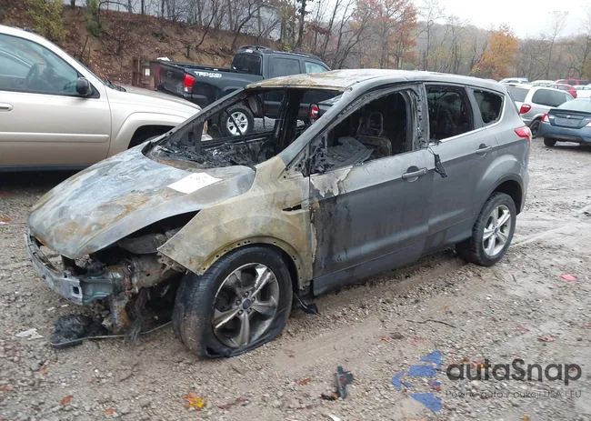 1FMCU9GX1EUC42946: 43562594