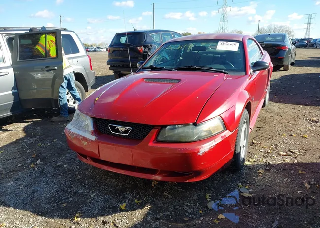 1FAFP40442F124293: 43562619