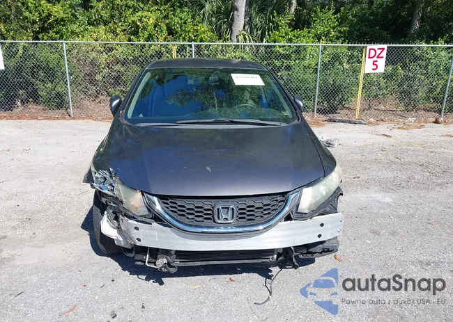 19XFB2F50FE053915: 43561983