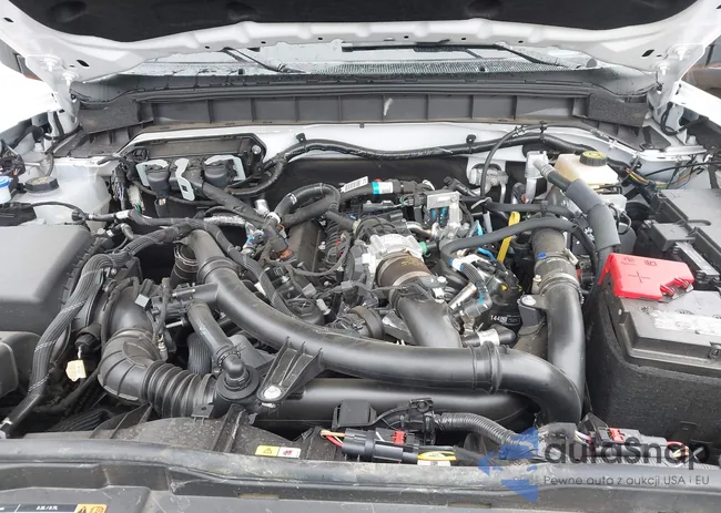 1FMEE9BPXRLA94515: 43562053