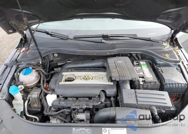 WVWNP7AN1AE538876: 43564445