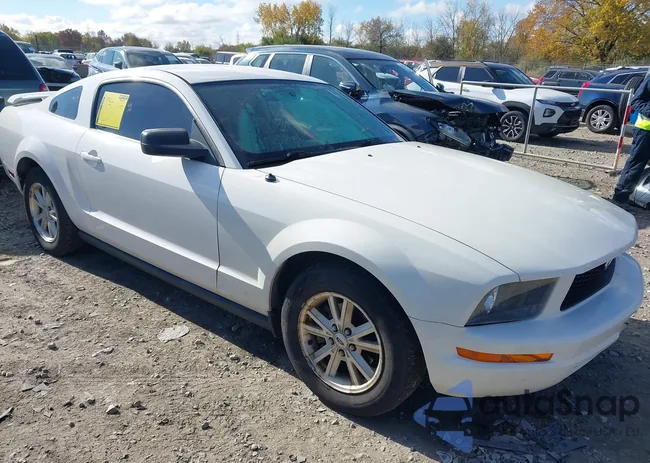 1ZVHT80N065127067: 43564957