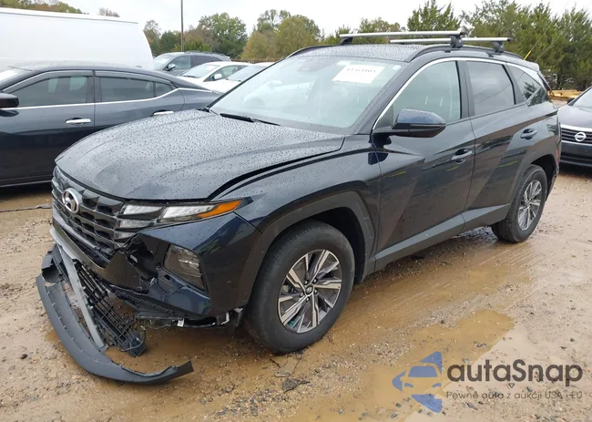 KM8JBCA1XNU078899: 43564103