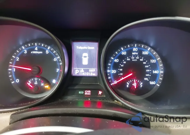 5XYZUDLB2EG228244: 43566475