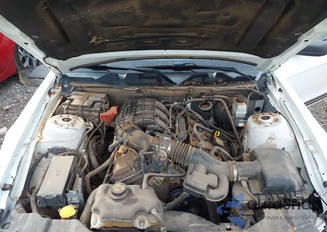 1ZVBP8AM1D5274852: 43568489