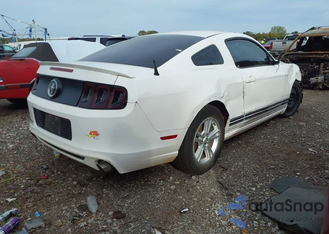 1ZVBP8AM1D5274852: 43568489