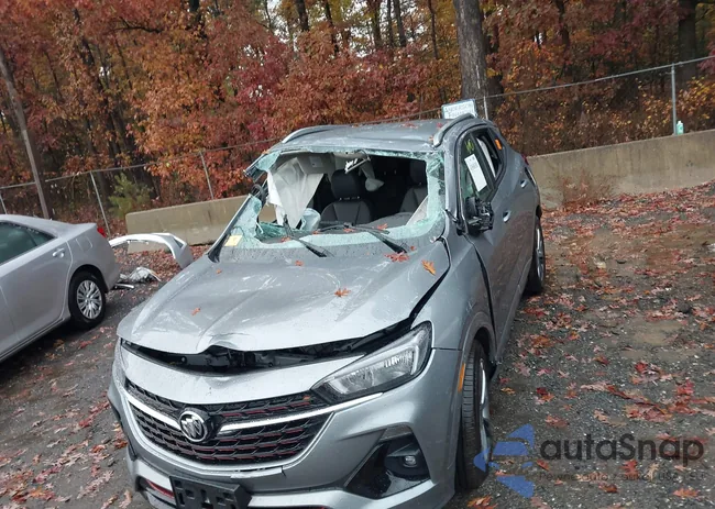 KL4MMDSL6PB116851: 43568101