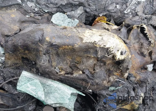 1C4PJMLB0KD292132: 43570102