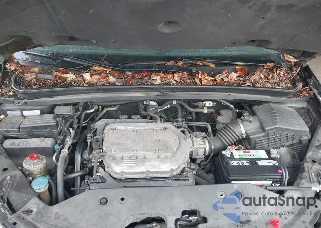 5FNRL3H97AB039089: 43571542