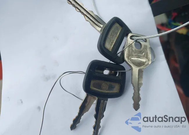 SGE2010511: 43571704