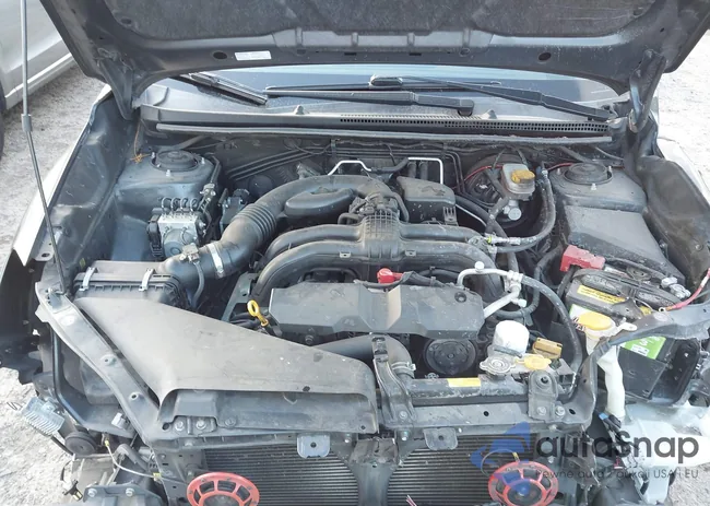 JF2GPAGC4DH835298: 43571237