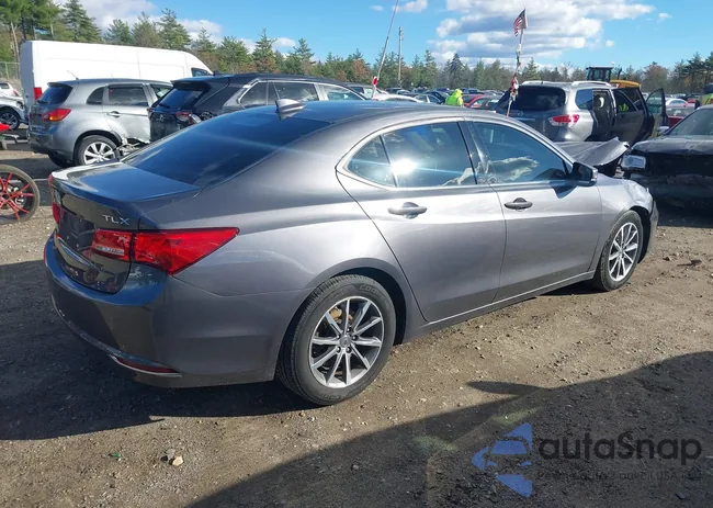 19UUB1F37KA008078: 43572353