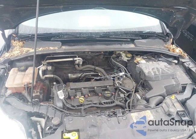 1FADP3F2XEL347841: 43572023