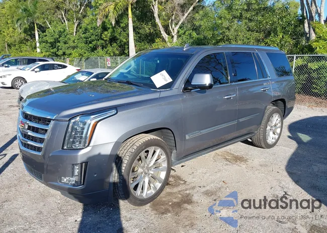 1GYS4CKJ0JR262645: 43572049